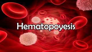 Hematopoyesis [upl. by Ligriv142]