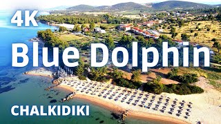 Hotel Blue Dolphin tour  Metamorfosi  Chalkidiki  Greece [upl. by Osman]