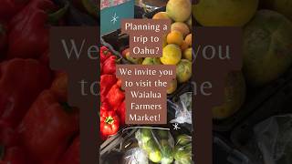 🏄North Shore Oahu Discover the Waialua Farmers Market Old Waialua Sugar Mill hawaiivacation [upl. by Swiercz]