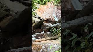 Beautiful Thekkady waterfalls thekkady kumily kerala chakra automobile travel [upl. by Namzzaj117]