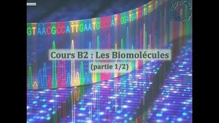 Cours B2  Les biomolécules 12 eau  lipides  glucides [upl. by Alleyn]