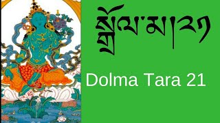 སྒྲོལ་མ།༢༡ Dolma Tara21  Tibetan Prayers Morning Prayers [upl. by Artus236]