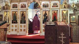 20210320 Divine Liturgy [upl. by Aisile]