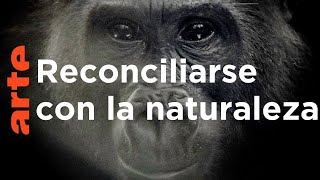 Cómo preservar la naturaleza  ARTEtv Documentales [upl. by Fredette917]