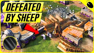 The Most Powerful Unit In FFA The Sheep [upl. by Standford]