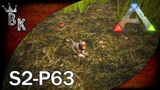 Ark Survival Evolved Gameplay  S2P63 quotMESOPITHECUS BREEDINGquot [upl. by Kegan]