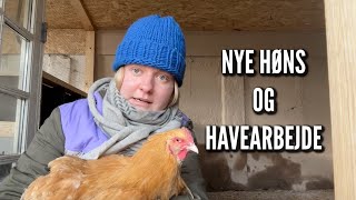 Nye høns og havearbejde  Livet på gården Ep 11 [upl. by Denys437]