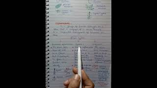 Inflorescence  Racemose Cymose And Compound Inflorescence  In Urdu Hindi Class 11 [upl. by Joane]