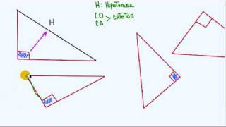 trigonometria triangulo rectangulo 1 [upl. by Oretos]