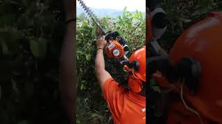 Increíble Cortasetos Stihl HS 45 shorts [upl. by Aserehtairam]