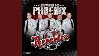 Los Pasajes Del Phoenix [upl. by Gnanmos]