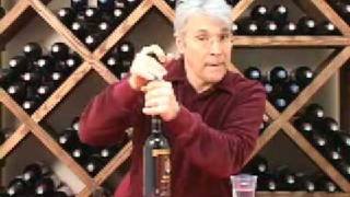 Vacu Vin Wine Preservation HowTo [upl. by Nibram]