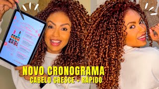 CRONOGRAMA CAPILAR PARA CRESCIMENTO SEU CABELO VAI CRESCER CHEIO PROJETO RAPUNZEL Super Pretinha [upl. by Ahsercel]