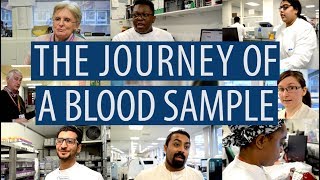 The journey of a blood sample DiscoverPathology [upl. by Ecirtael881]