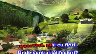 GRIGORE LESE  CANTA CUCUL BATAL VINA Karaoke Romanesti [upl. by Eliathan653]