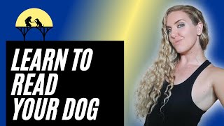 How to Read Dog Body Language amp Behavior [upl. by Partan]