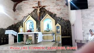 SUNDAY MASS AT IMMACULATE CONCEPTION PARISH SEPT 29 2024 [upl. by Eilyak]