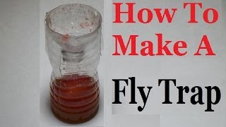 How to make a fly trap [upl. by Magree]