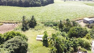 Land for Sale  Fisherpond Tenantry [upl. by Nav597]