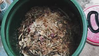 Bokashi Composting  CWTS Project [upl. by Lamok591]