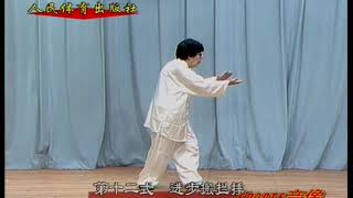 Sunstyle Taiji Quan 97 posture Lecture by Sun jianyun 12 孙氏太极拳 [upl. by Atoiganap]