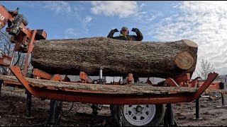 WoodMizer LT40 Wide Milling a White Oak Log with STUNNING Grain [upl. by Prescott]