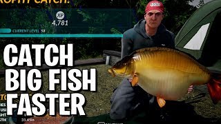 Catch Big Fish Faster  Carp Tourney  Fishing Sim World  Guide [upl. by Lowell]