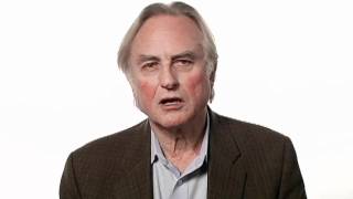 Richard Dawkins Faith  Big Think [upl. by Natalya]