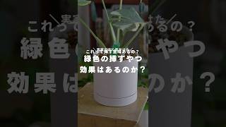 【忖度なし】緑色の活力剤、これって意味あるの？観葉植物のある暮らし 観葉植物 観葉植物インテリア 観葉植物初心者 観葉植物育て方 活力剤 [upl. by Dhu]