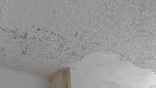 DO NOT remove your artex ceiling WATCH THIS FIRST [upl. by Atnoek]