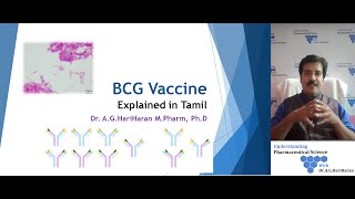 Production of BCG Vaccine Explained in Tamil [upl. by Sollie]