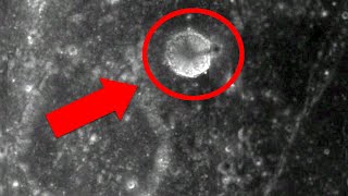 35MileTall Tower on the Moon 5 Mysterious Photos from Space [upl. by Acinom]