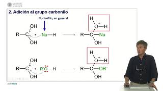 Reacciones de esterificación   UPV [upl. by Adlaremse]