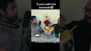 Mi Perro Es Más Educado que Tu viralvideo humor memes chistesbuenos perros [upl. by Cher]