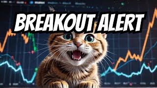 Bitcoin is Pumping  Meme Coin Is Making ATH  TURBO ATH  NEIRO ATH ROAR ATH [upl. by Enomes]