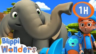 🐘 Blippi learns about Elephants🐘  Animals for Kids  Animal Cartoons  Funny Cartoons [upl. by Helmut850]