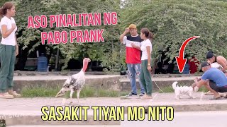 aso pinalitan ng pabo prank matatawa ka talaga nito [upl. by Yrram]