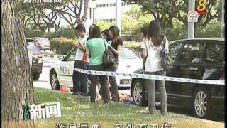 Singapore Kallang Murder Case  01062010 加冷一死三伤劫案 [upl. by Cam578]