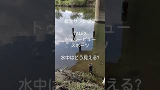 TALEX トゥルービュースポーツ 偏光サングラスレビュー [upl. by Valorie]