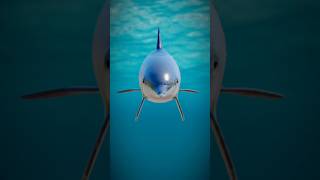 Dolphine Fish Information  Dophin Hidden Information  Dolphin Cartoon [upl. by Aran981]