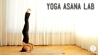 Yoga Asana Lab Inversions Headstand Plow and Shoulder stand [upl. by Kramal]