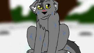 Graystripe amp Silverstream AMV Love Story [upl. by Dolloff]