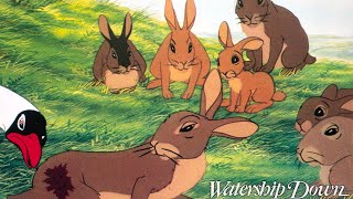 Watership Down Intro an Credits [upl. by Lindley]