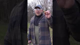 500 Bushwhacker Vs Grizzly Bear Kentucky Ballistics [upl. by Clea]