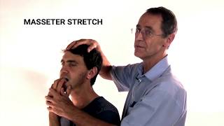 How to Stretch the Masseter Muscle  Trigger Point Therapy [upl. by Alohs]