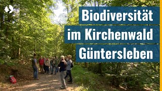 Wo sich Hirschkäfer und Fledermaus wohlfühlen  Kirchenwald in Güntersleben sorgt für Biodiversität [upl. by Imefulo179]