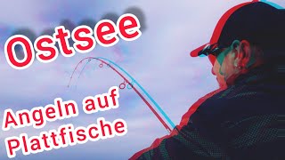 Ostsee  endlich wieder angeln auf Plattfische oder doch lieber angeln auf Makrele amp Hornhecht [upl. by Joane]