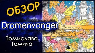 Обзор раскраски DromenvangerЗемля снов Томислав ТомичTomislav Tomic Раскраска анстистресс [upl. by Assenad]