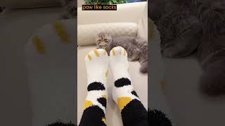 Cute Matching Cat Claw Socks  Fuzzy Socks for Ladies linkinbio socks [upl. by Nirrat]