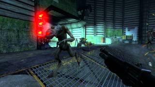 Half Life 2 Episode 2  Antlion Battle [upl. by Vevina]